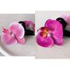 Pinza de Presión Grande Flor Grande Floreciendo Phalaenopsis Estilo Pastoral Súper Hada Pinza de Tiburón Celebridad de Internet Dulce Elegante Pasador de Pelo