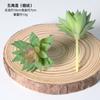 Planta artificial suculenta com flocado estrela-de-cinco pontas Lótus decoração de casa decoração de flor artificial tamanho pequeno vaso de mini bonsai