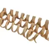 En Stock Tiras Naturales para Masticar Loros, Tiras Espirales de Ratán, Ramas Naturales Comestibles para Roedores para Aliviar el Aburrimiento