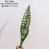 Planta Serpiente Artificial con Hojas en Forma de Luna, Flores Artificiales al por Mayor, Manualidades para Decoración de Bodas, Plantas Verdes Estilo Ins