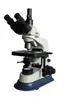Microscopio Biológico Pierm Video/UIS/Invertido/Microscopio Polarizador de Tres Mallas 40-1600 Veces Más Modelos