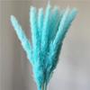 Flor Eterna Pequeno Junco Buquê de Flores Secas Decoração de Casa Floral Casamento Aniversário Presente Flores Estilo Ins Flores Feitas à Mão