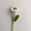 Ramo de Manzanillas y Margaritas de Lana Tejidas a Mano, Terminado, como Regalo para Amigos y Mejores Amigas, Flores Artificiales de Lana Tejidas