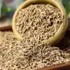Colección Completa de Especias y Condimentos: Jengibre Seco, Durazno, Pimienta de Cayena, Kumquat, Semillas de Cilantro, Especia de Madera, Palitos de Canela, Hierbas Aromáticas, Fruta de Luo Han