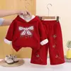 Conjunto Novo Outono e Inverno para Meninas 2026, Roupa de Inverno Espessa com Forro de Fleece Infantil, Conjunto de Duas Peças com Moletom com Capuz para Bebê Venda por Atacado