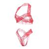 Suministro transfronterizo de Europa y los Estados Unidos comercio exterior ropa interior sexy ropa interior sexy de encaje para mujer cuello halter de dos piezas fabricantes en stock