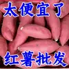Batatas Frescas, Batatas Dulces de Castaña de 5 kg, Batatas Dulces Corazón de Azúcar de Suelo Arenoso, Batatas Cultivadas en Granja, Batatas Recién Desenterradas