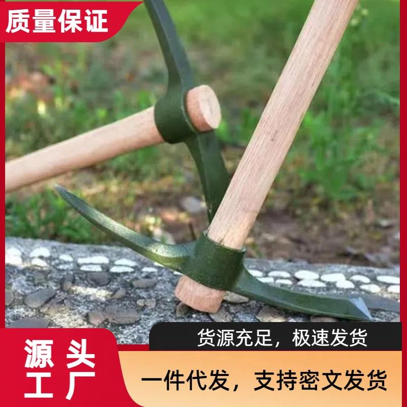 微信图片_2024052914550815