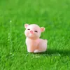 Micro Paisaje Creativo Lindo Cerdo Caminando Lindo Granos Jardinería Paisajismo Decoraciones DIY Accesorios para Colgar Mini Adornos Pequeños