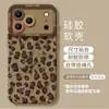 Capa de iPhone com estampa de leopardo para telefones Apple, iPhone 18 Pro, marrom de gato, 17 Max com corrente, 16 silicone, para mulheres, 15 conjunto