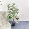 Simulação de estilo nórdico eucalipto planta verde folha grande planta verde simulação decoração escritório simulação horizontal jardinagem planta verde