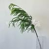 Simulação Catkin Branch Home Decoration Spike Flower Material Niche Floricultura Design Amante Lágrimas Mori Wedding Flower Set Paisagem