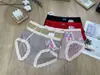 Ropa Interior para Mujer Estilo Nuevo Encaje Malla Jacquard Popular Moño Cintura Media Bragas de Niña Liquidación Especial Mayoreo