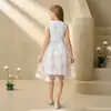 Vestido de princesa de malla bordada para niñas transfronterizo, nuevo estilo de verano, simple y lindo, vestido sin mangas de encaje para anfitriona