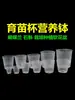Vasos para Plántulas de Orquídeas, Macetas Nutritivas Transparentes de Plástico Blando, Macetas para Flores Phalaenopsis, Macetas para Cultivo de Plantas en Maceta Dendrobium