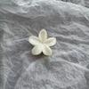 Presilha de Cabelo Nova de Mármore Transfronteiriça Doce Fresca Flor de Ovo Grampo de Tubarão de Alta Qualidade de Verão Acessórios de Cabelo