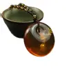 Cadena para Suéter de Cera de Abejas Ámbar Imitación Incrustada con Conchas Fósiles de Plantas Collares de Moda para Hombres y Mujeres Accesorios de Transmisión en Vivo de Exposición