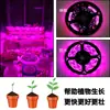 Luz de Crecimiento para Plantas USB 5V Transfronteriza con LED 2835 Impermeable para Verduras, Flores y Suculentas Luz de Crecimiento para Plantas