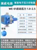 Controlador de Bomba de Agua Booster Interruptor de Presión Digital Totalmente Automático Interruptor de Flujo de Agua Interruptor de Arranque y Parada Automática de Bombeo de Agua