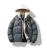 Roupas de Algodão Grossas e Quentes para Primavera e Outono, Novo Design Acadêmico Solto, Roupa de Casal Masculina, Mercadorias de Fujian, Falso Duas Peças