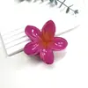 Novedad Pinza de Flor de Huevo Pinza de Pelo de Flor de Colores Retro Europea y Americana Pinza Lateral para Cabello de Mujer Pinza de Tiburón para Media Cabeza