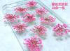 Atacado contas de neve flor renda flor estrela flor rosto maquiagem flor espécime de flor DIY artesanal flor epóxi manicure