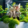 Mágicos Trillizos Transfronterizos Estaca de Jardín de Hadas Lectura Arte para Patio de Acrílico Atrapasoles Inserto para Maceta