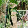 Ampolla suministros de jardinería envoltura de plástico cuerda de atar amarre hebilla de fijación alambre de envolver plástico tubería de acero accesorios de tubería conexión Especial