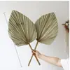 Flores Secas, Flores Reais, Estilo Wabi-Sabi, Flores Secas, Pinhas, Algodão, Trigo Natural, Papoulas, Buquês Decorativos para Casa