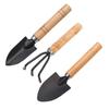 Juego de tres herramientas de jardinería carnosas, rastrillo para clavos, pequeño juego de acero inoxidable, para el hogar, plantas en maceta, jardín, flores, venta al por mayor transfronteriza