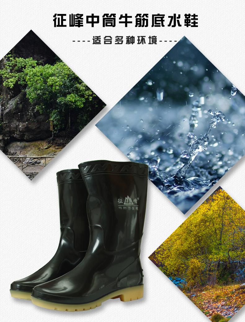 未标题-1.jpg
