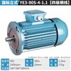 Motor Fujiwara Vertical Trifásico Estándar Nacional Cable de Cobre Ye3/0.75/1.5/4/5.5/7.5Kw Motor 380V
