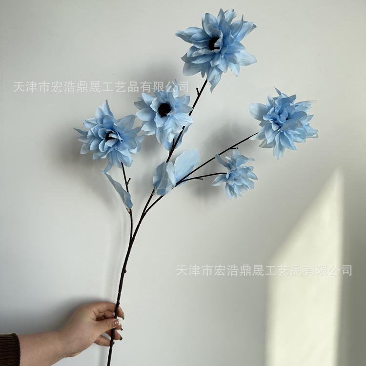 微信图片_202303151643032_副本