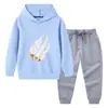 Nova coleção primavera e outono 2023 roupas infantis transfronteiriças conjunto de duas peças com moletom com capuz e calça infantil terno de algodão de manga longa para bebê