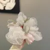 Dulce Goma para el Cabello de Tul con Malla para Mujer, de Gama Alta, Suave, Elegante y con Estilo, Cuerda para el Cabello tipo Scrunchie, Accesorio Versátil para el Cabello para Uso Diario