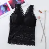 Hermoso Chaleco de Celebridad de Internet Espalda Sexy Encaje Cuello V Suspensor Largo Exterior Ropa Interior Base Anti-Exposición con Copas Top Tubo