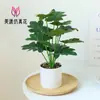Flores Artificiales, Hojas de Plantas Artificiales, Bonsái Grande, Pequeños Adornos Creativos para Interiores, Plantas Verdes Artificiales, Plantas en Maceta, Amazon