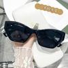 Nuevas Gafas de Sol con Montura Asimétrica para Mujer H Templo Decorado Transfronterizas Europeas y Americanas Fotografía Callejera Gafas de Sol Personalizadas para Hombre 5129