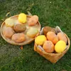 Modelo de patata de simulación fruta falsa verdura espuma comida niños cognitivo educación temprana accesorios ventana decoraciones de restaurante