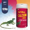 Aminoácido de reptil vitamina sabor a fruta que contiene D3 polvo mineral de calcio para mascotas 10g250g