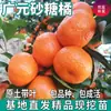 Dropshipping de Mudas de Laranja Doce Guangyuan, Adequadas para Plantio nas Regiões Norte e Sul, Mudas de Laranja Doce Sem Sementes Enxertadas para Vasos e Quintais