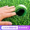 Canteiro de Obras Cercado de Grama Sintética Gramado Tapete de Grama Artificial Jardim de Infância Campo de Futebol Pavimentação Gramado Grama Sintética