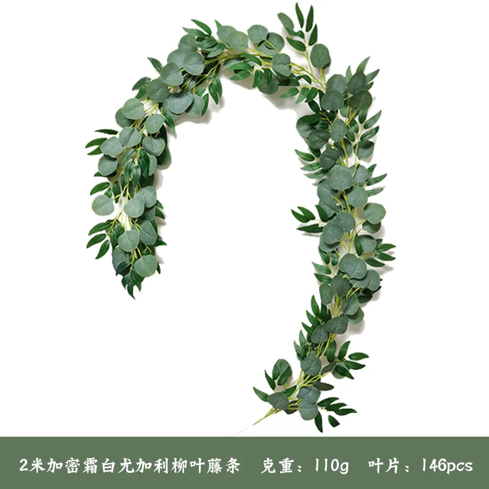 尤加利柳叶