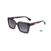 Gafas de Moda Retro con Montura de Acetato Transfronterizas Europeas y Americanas Gafas de Sol Versátiles de Alta Gama con Personalidad Gafas de Sol de Alta Gama