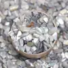 TikTok Novo Natural Parquet Concha Celebridade da Internet Irregular Peças de Nail Art Cor Preenchimento Decorativo Acessórios DIY