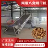 Equipamento de Secagem e Branqueamento Octogonal com Correia de Malha Linha de Produção de Branqueamento e Secagem Octogonal Guangxi Secador a Gás Natural para Grandes Lotes
