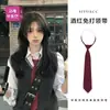 Corbata Rayada Color Café de Alta Inteligencia Estilo Coreano Otoño e Invierno Bufanda Casual Melard Cinturón Versátil Accesorio de Cintura para Mujer
