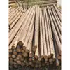 Decoración Floral Troncos de Árbol con Corteza, Arcos, Secciones de Madera, Postes de Soporte para Paisaje Fluvial, Marcos de Madera de Cedro, Postes de Madera Natural