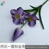 Tulipa Florida de Três Flores e Duas Hastes Tulipa Florindo com Cinco Flores Decoração para Sala de Estar de Casa Flor Artificial Flor para Arranjo de Casamento Flor de Seda