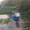 Equipos de pesca y recolección de calabazas acuáticas del río Jiangxi en stock, bote pequeño para recolección de plantas acuáticas, cortadora de plantas acuáticas